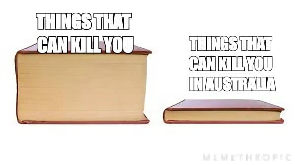 Big Book Small Book meme template