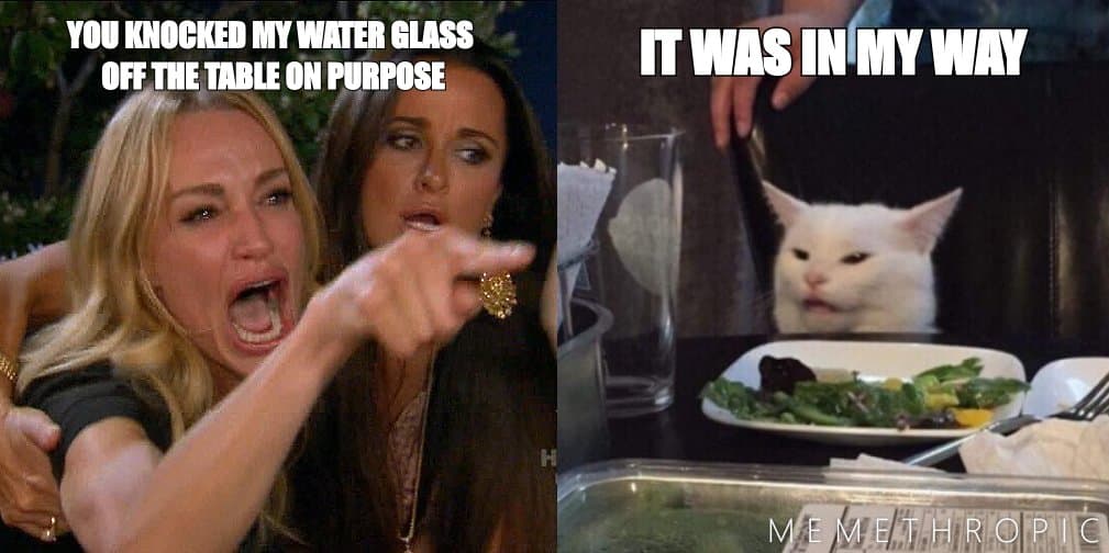 Woman Yelling at Cat meme template